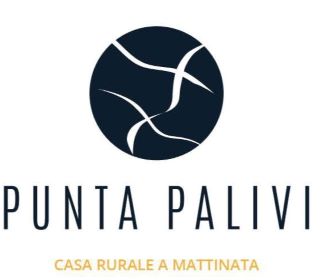 Partner 6